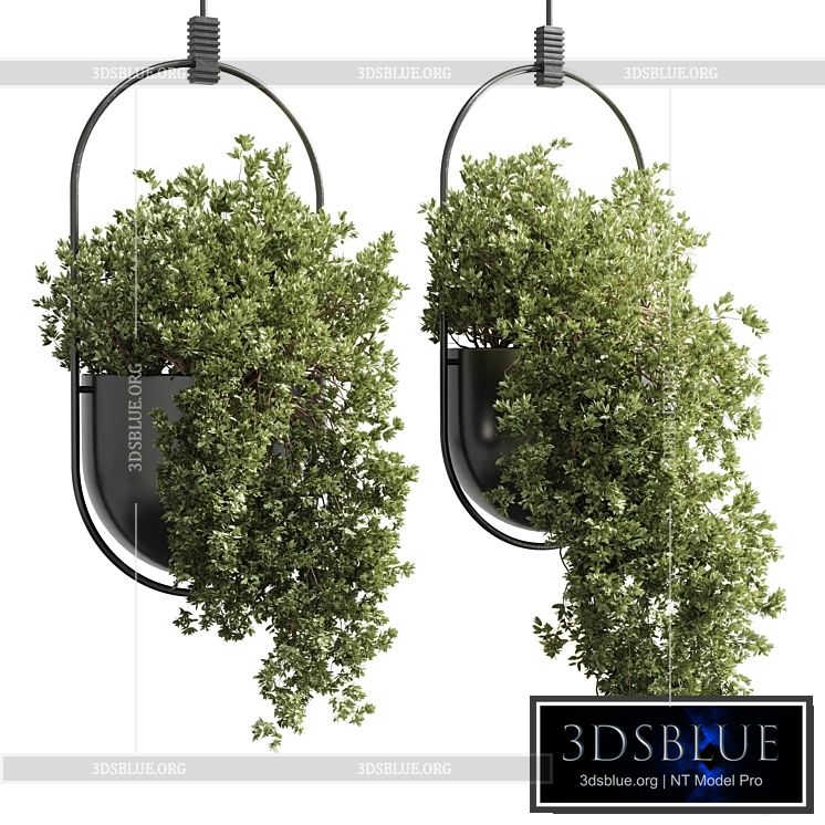 hanging pot collection indoor outdoor Indoor plants15-metal bax vase corona 3DS Max - thumbnail 3