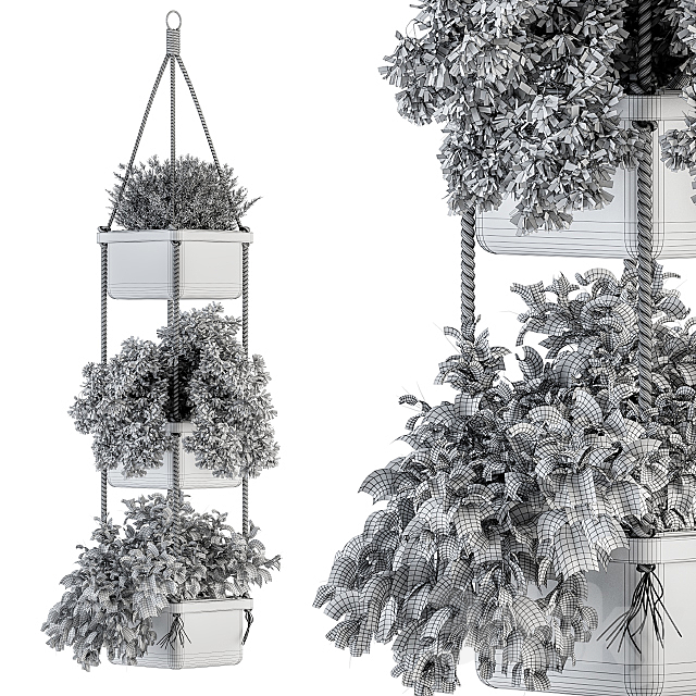 Hanging pot with Rope – indoor Plants 164 3DSMax File - thumbnail 5