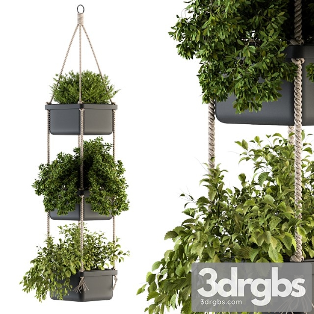 Hanging pot with rope – indoor plants 164 - thumbnail 1