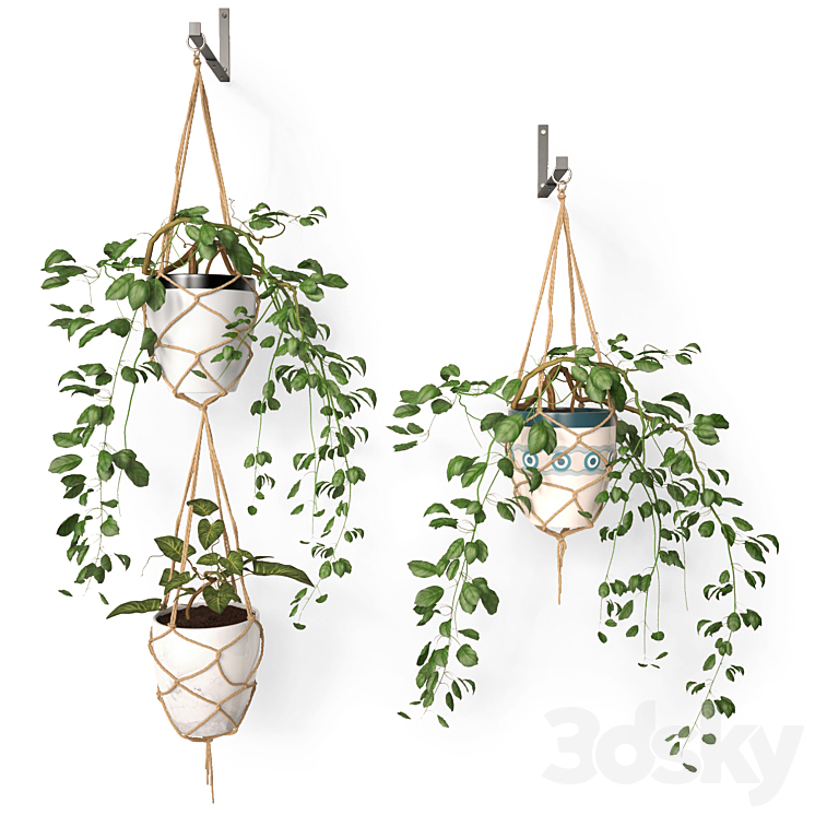 Hanging pots 3DS Max - thumbnail 1