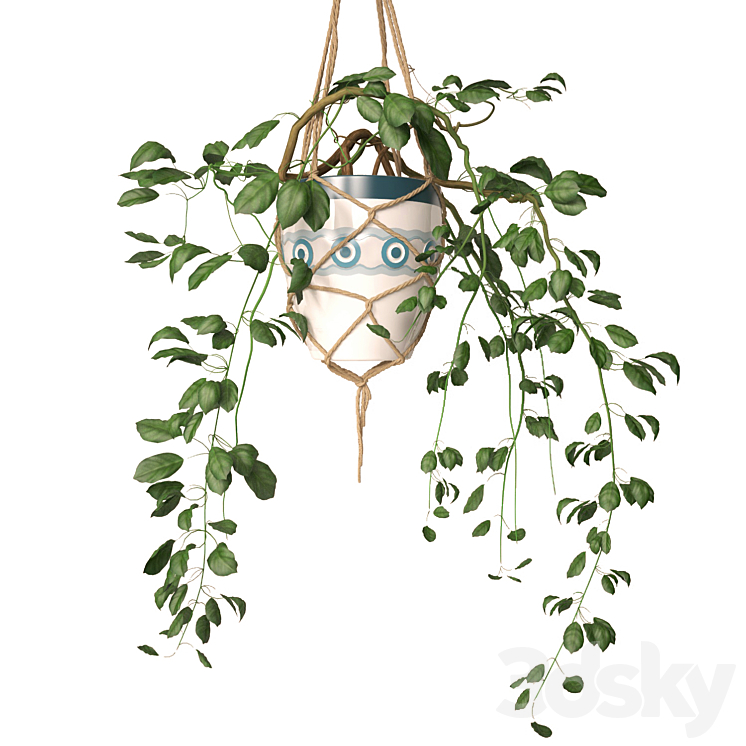 Hanging pots 3DS Max - thumbnail 2