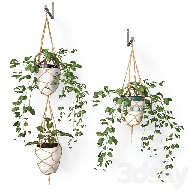 Hanging pots 3DSMax File - thumbnail 1