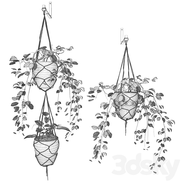 Hanging pots 3DSMax File - thumbnail 3