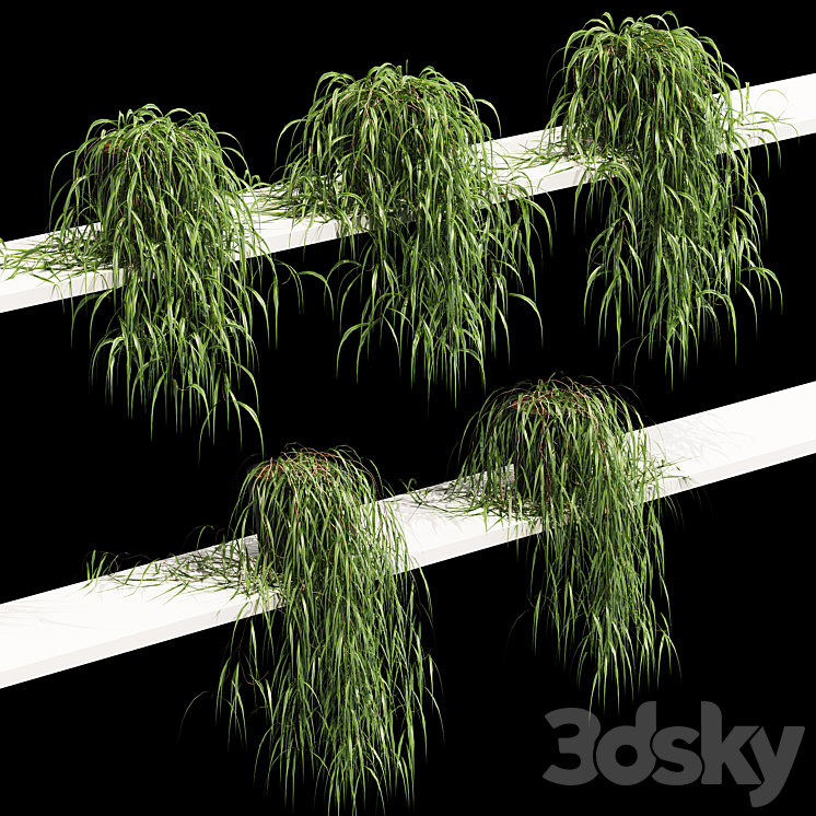 Hanging potted plant on the shelf. 5 models 3DS Max Model - thumbnail 2