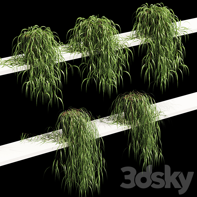 Hanging potted plant on the shelf. 5 models 3DSMax File - thumbnail 2