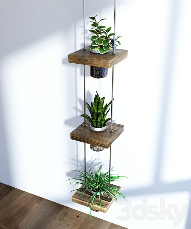 Hanging shelf with flowers 3DSMax File - thumbnail 3