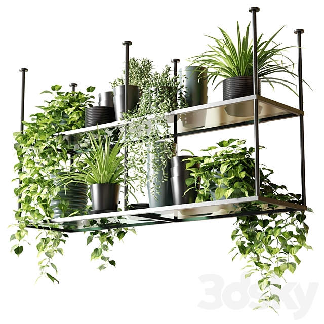 Hanging shelf with plants for the kitchen 3ds Max - thumbnail 1