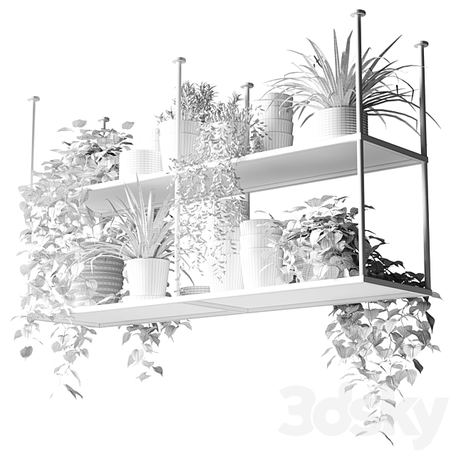 Hanging shelf with plants for the kitchen 3ds Max - thumbnail 2