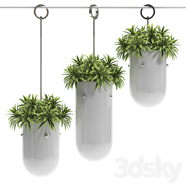 HANGING VASE 3 3DS Max Model - thumbnail 2