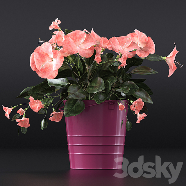 Hibiscus 3DSMax File - thumbnail 1