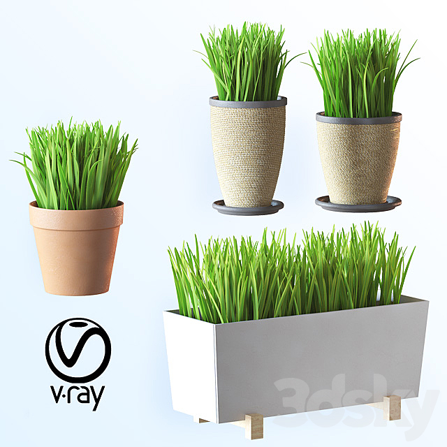 Home plant v1 3DSMax File - thumbnail 1