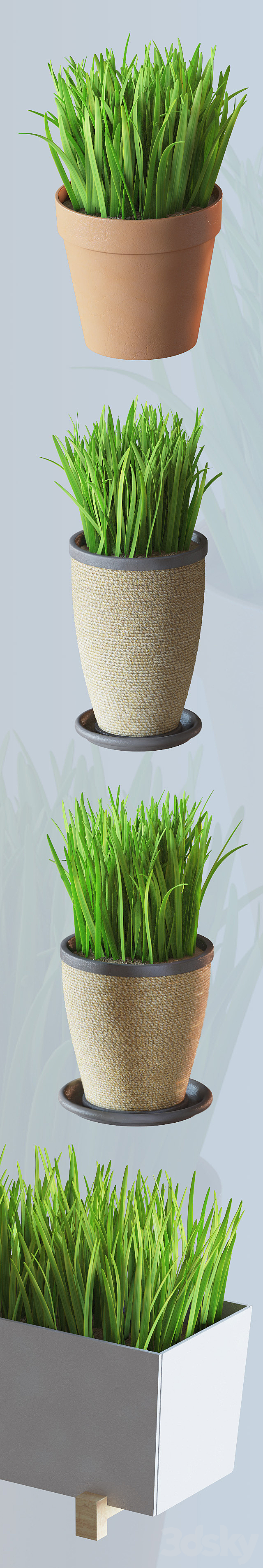 Home plant v1 3DSMax File - thumbnail 3