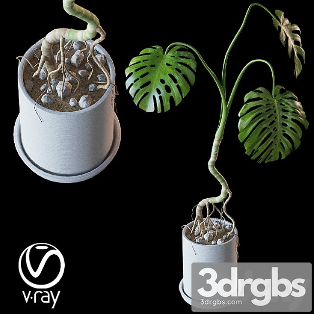 Home plant v2 (realistic) - thumbnail 1