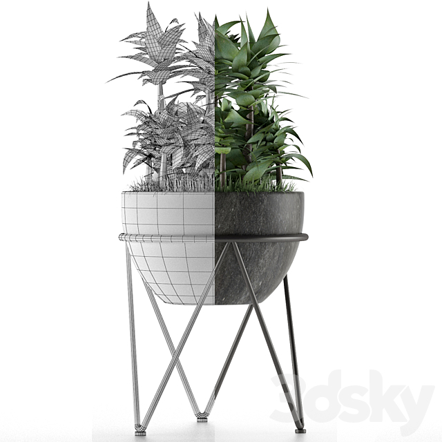 House Plant 21 3DS Max Model - thumbnail 4