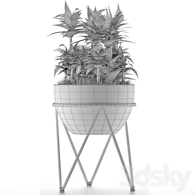 House Plant 21 3DS Max Model - thumbnail 5