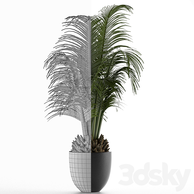 House Plant 30 3DS Max Model - thumbnail 3