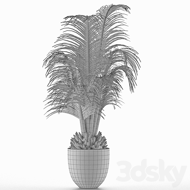 House Plant 30 3DS Max Model - thumbnail 5