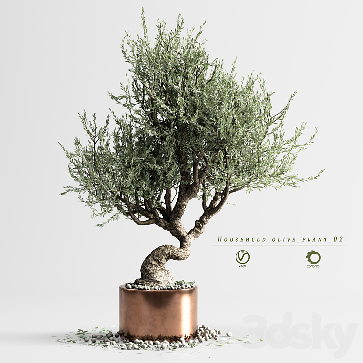 household olive plant 02 3DS Max Model - thumbnail 3