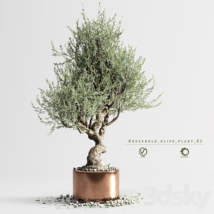 household olive plant 02 3DS Max - thumbnail 2