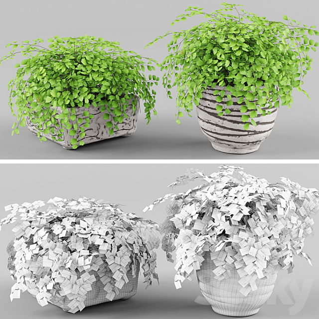 Houseplant 1 3DSMax File - thumbnail 1