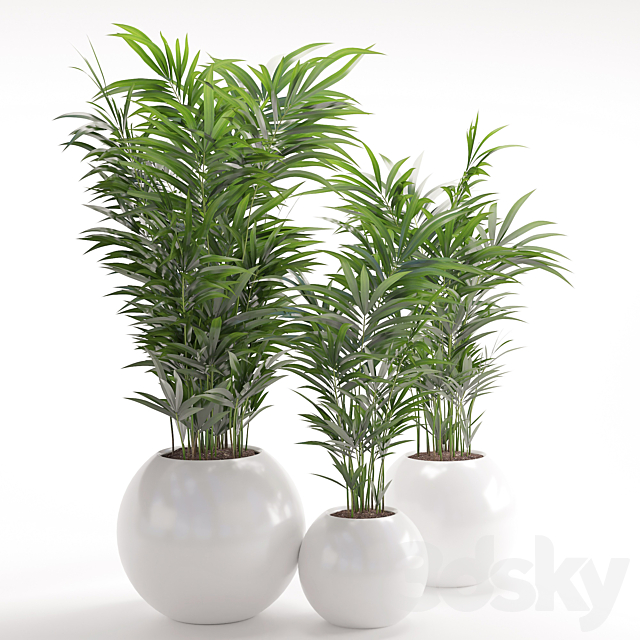 Houseplant 20 3DS Max Model - thumbnail 2