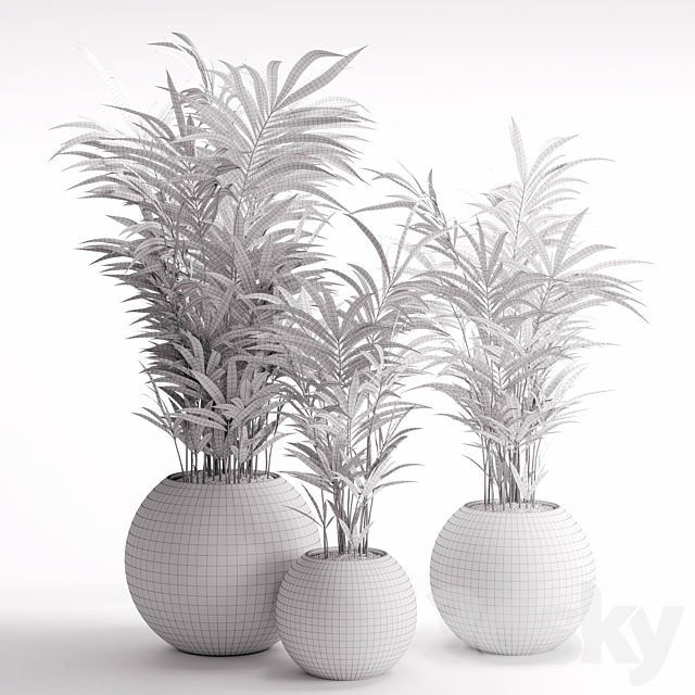 Houseplant 20 3DS Max Model - thumbnail 3