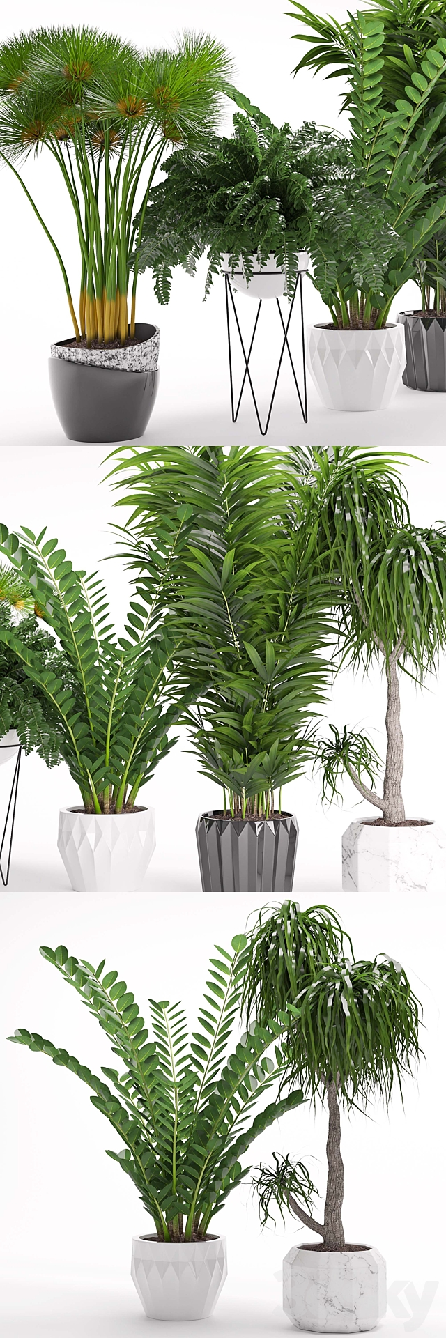 Houseplant 27 3DSMax File - thumbnail 2