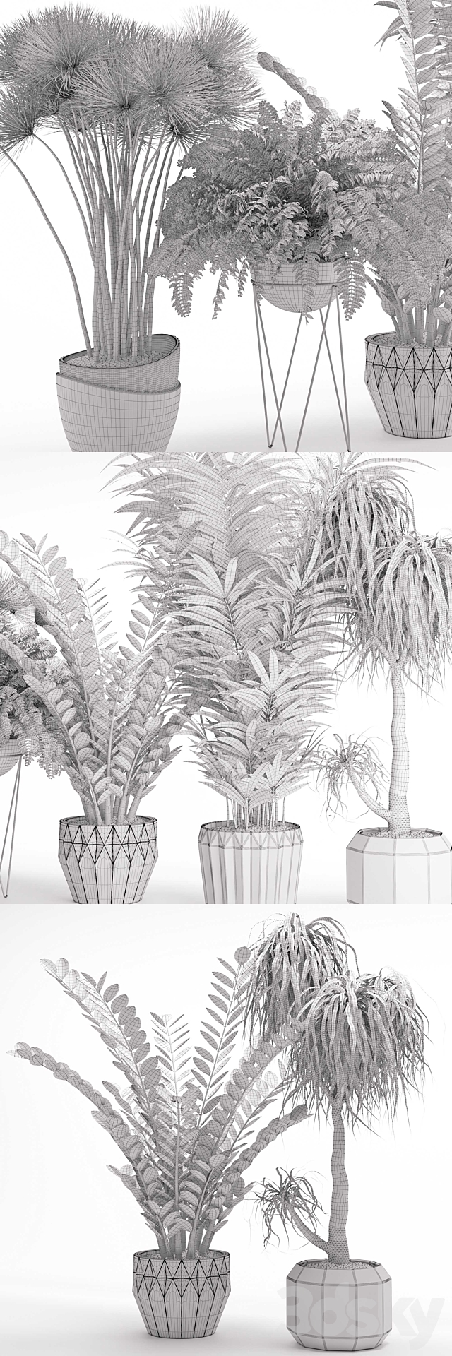 Houseplant 27 3DSMax File - thumbnail 3