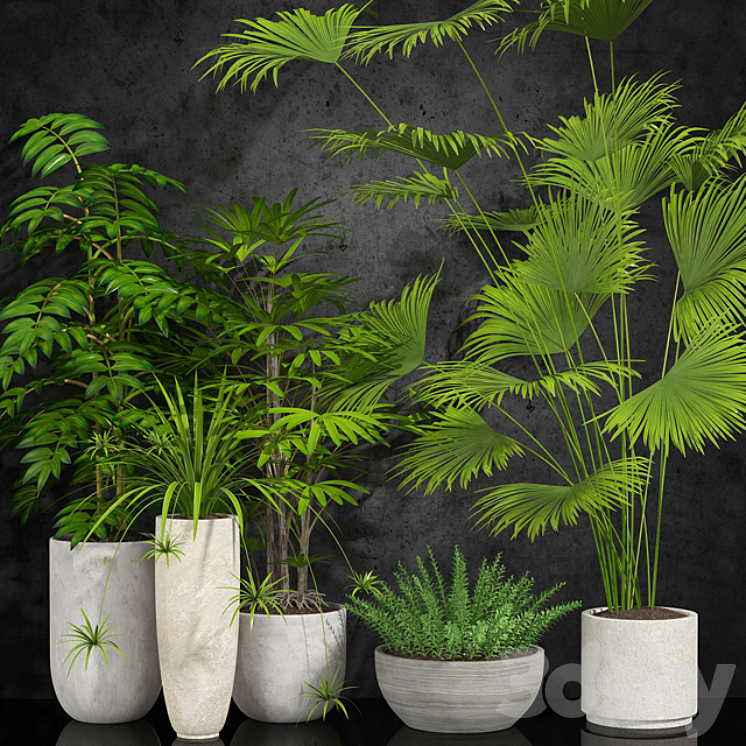 houseplant 3DS Max - thumbnail 1