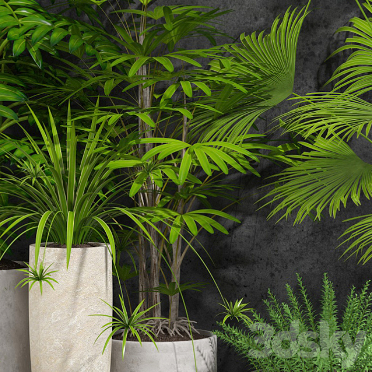 houseplant 3DS Max - thumbnail 2