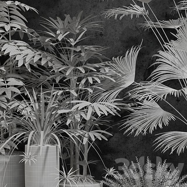 houseplant 3DSMax File - thumbnail 3