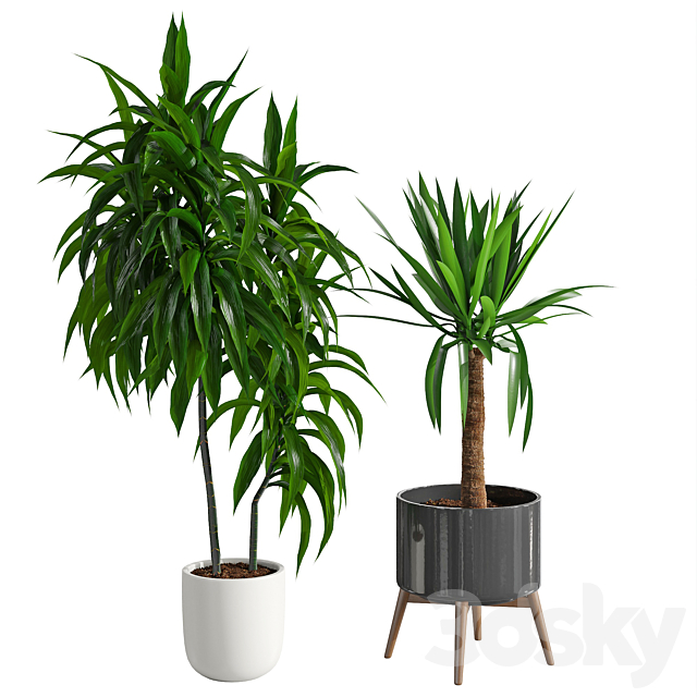 Houseplant 78 3ds Max - thumbnail 3