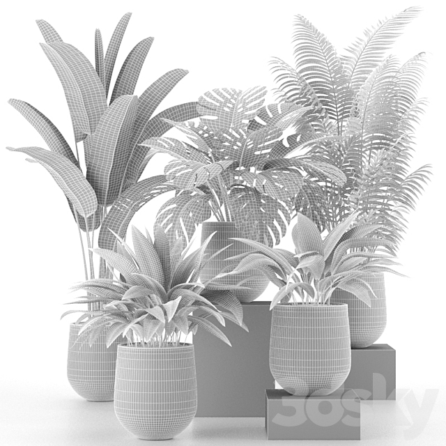 Houseplant Collection 03 3DS Max Model - thumbnail 2