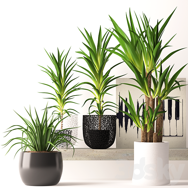 Houseplant set 3DSMax File - thumbnail 1