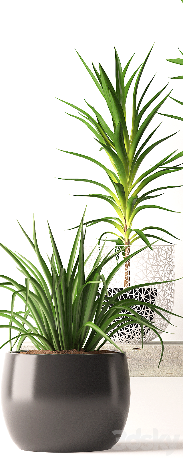 Houseplant set 3DSMax File - thumbnail 2