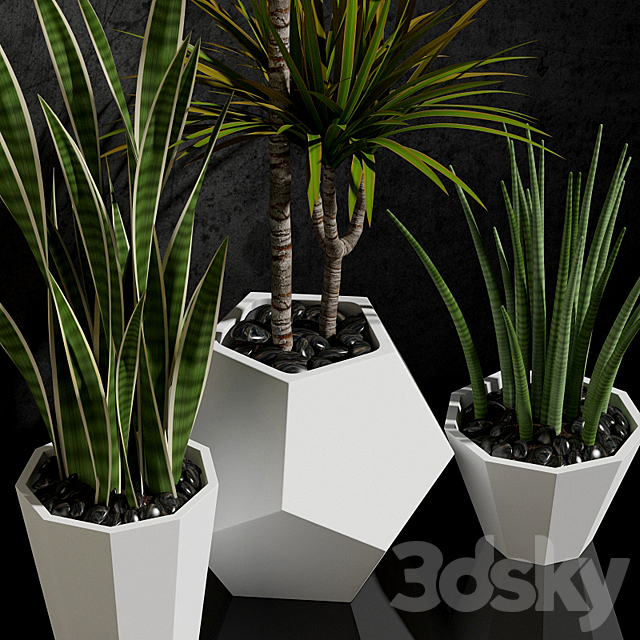 Houseplants 3DSMax File - thumbnail 2