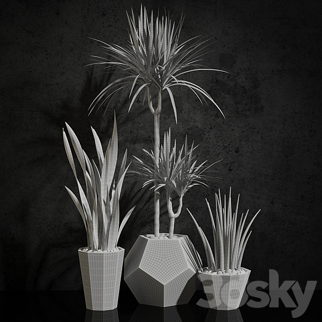 Houseplants 3DSMax File - thumbnail 3