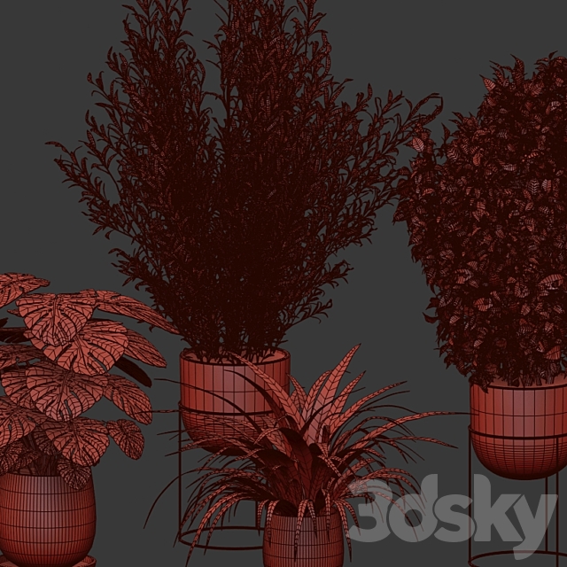 Houseplants collection (V-Ray) 3DSMax File - thumbnail 5