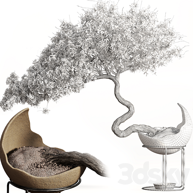 houseplants-indoor-Bonsai-039 3DSMax File - thumbnail 3