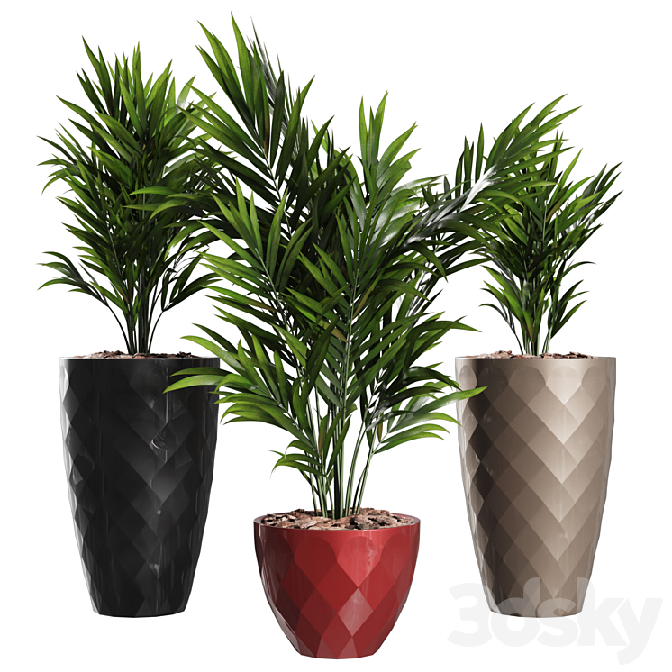 Howea Forsteriana Vase Plant 3DS Max Model - thumbnail 1