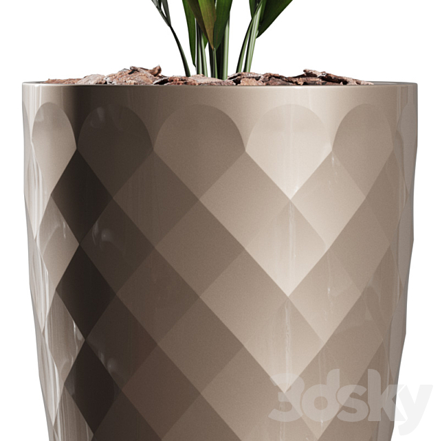 Howea Forsteriana Vase Plant 3DSMax File - thumbnail 3