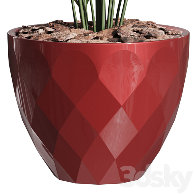 Howea Forsteriana Vase Plant 3DSMax File - thumbnail 4