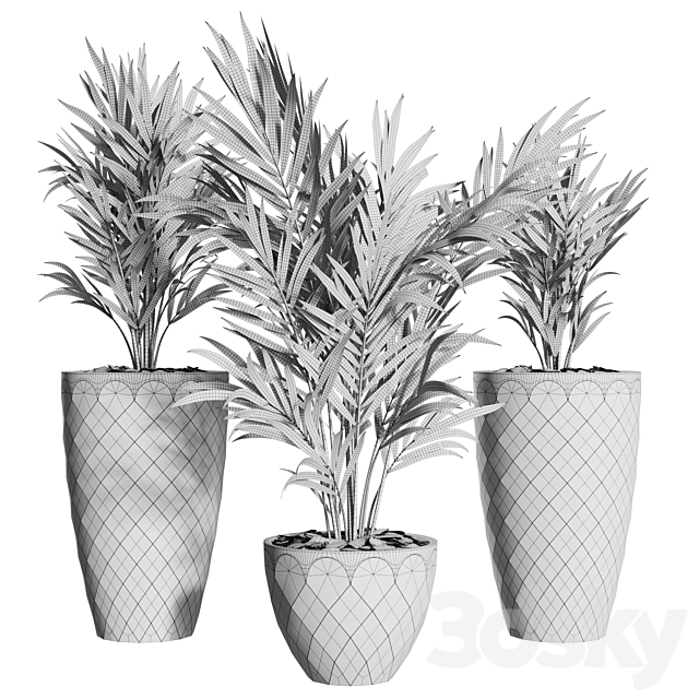 Howea Forsteriana Vase Plant 3DSMax File - thumbnail 5