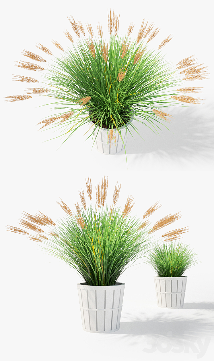 IKEA Kalasa Plant Pot and Little Barley 3DS Max - thumbnail 2