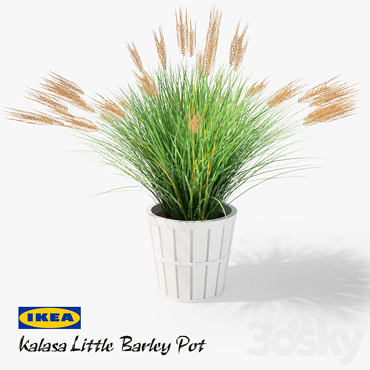 IKEA Kalasa Plant Pot and Little Barley 3DS Max - thumbnail 1