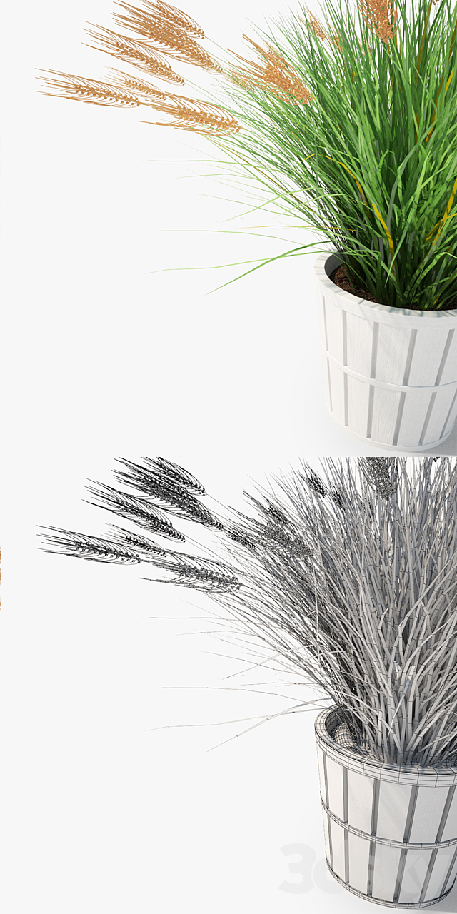 IKEA Kalasa Plant Pot and Little Barley 3DSMax File - thumbnail 3