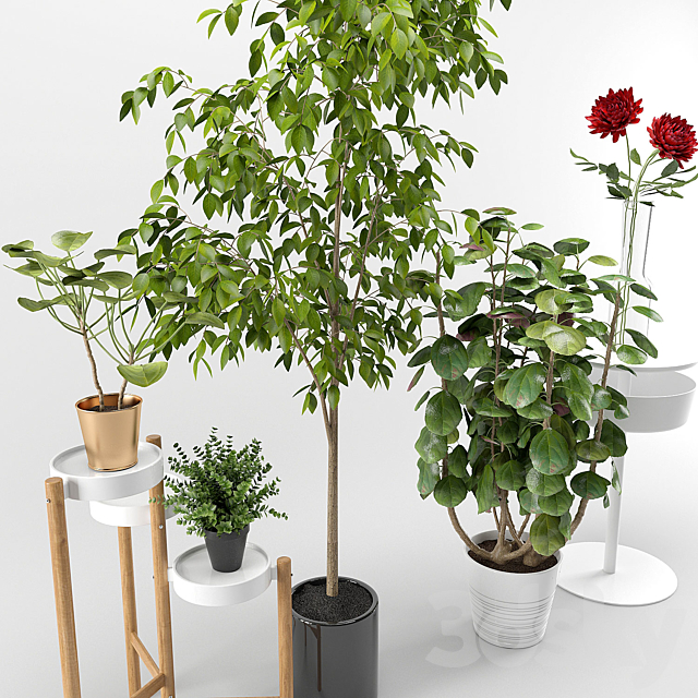 Ikea plants set 3DS Max Model - thumbnail 2