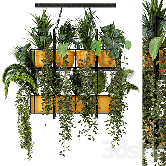 Indoor Hanging Plants in Metal Box – Set 103 3DS Max Model - thumbnail 2