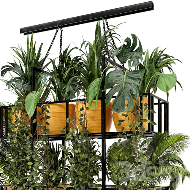 Indoor Hanging Plants in Metal Box – Set 103 3DS Max Model - thumbnail 3