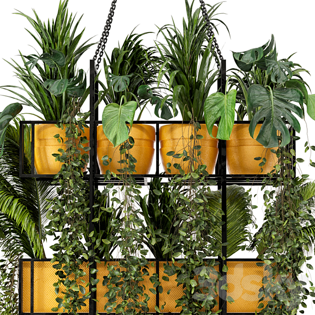 Indoor Hanging Plants in Metal Box – Set 103 3DS Max Model - thumbnail 4